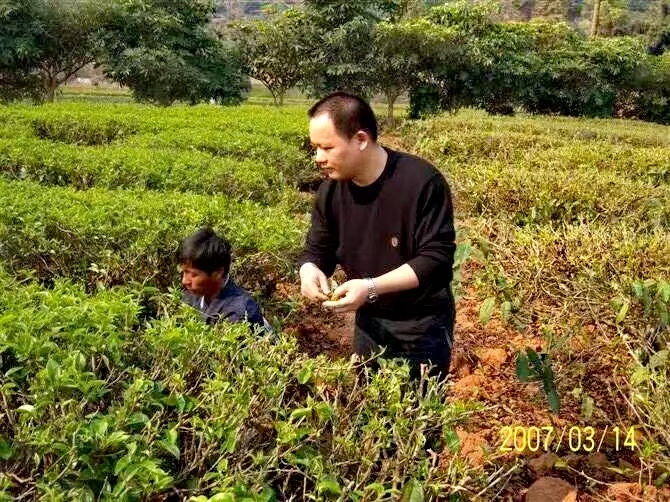 Tea garden visit with a local tea grower in Yunnan in March 2007.