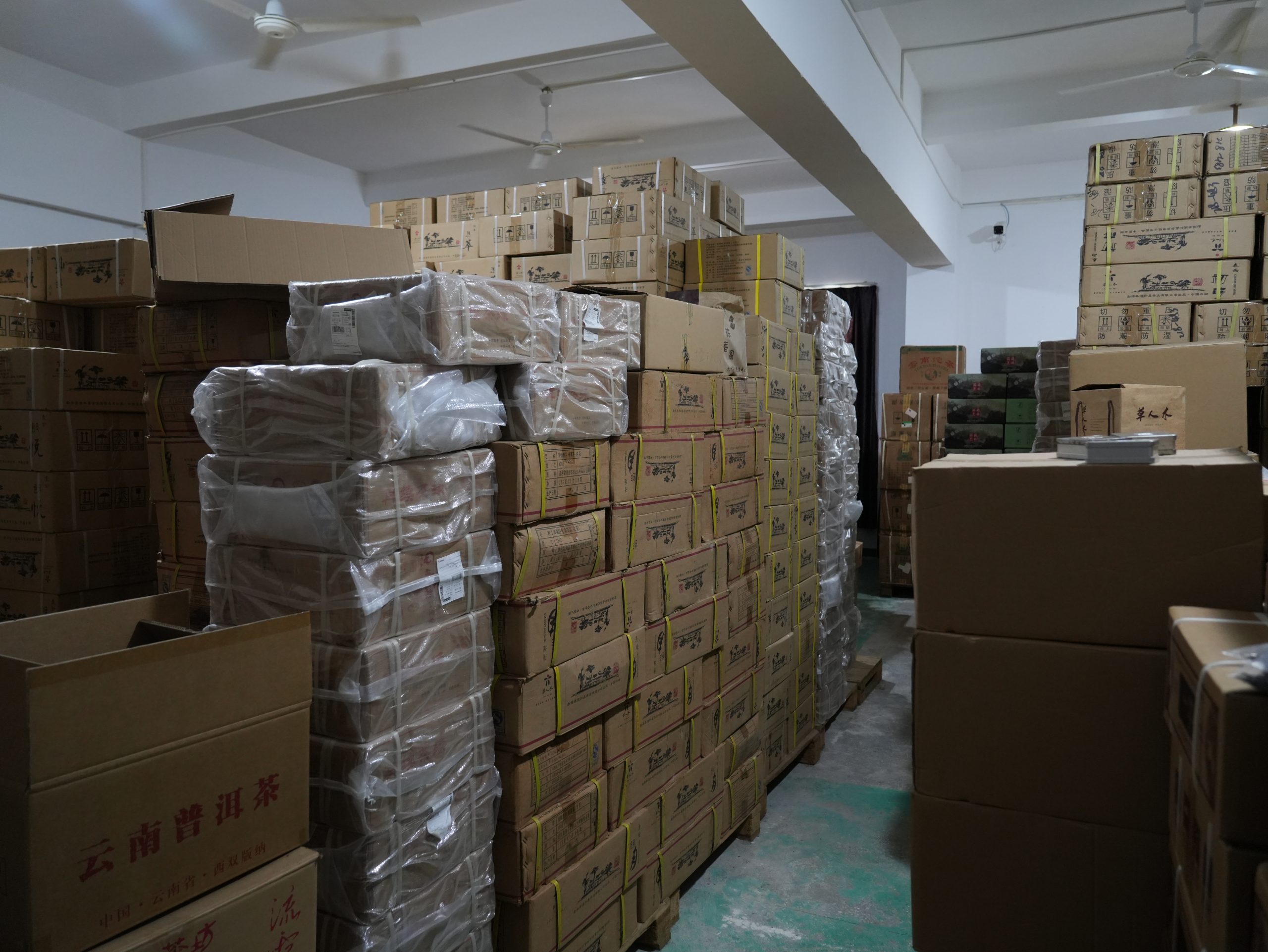 A view inside our present-day tea warehouse in Dongguan, Guangdong.
