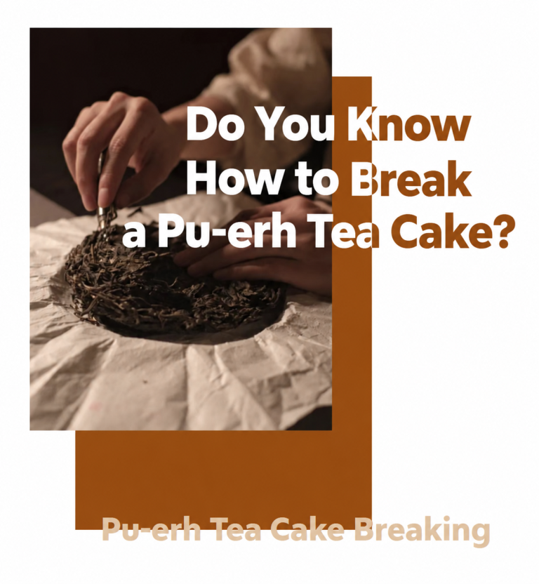 “PRYING TEA APART”