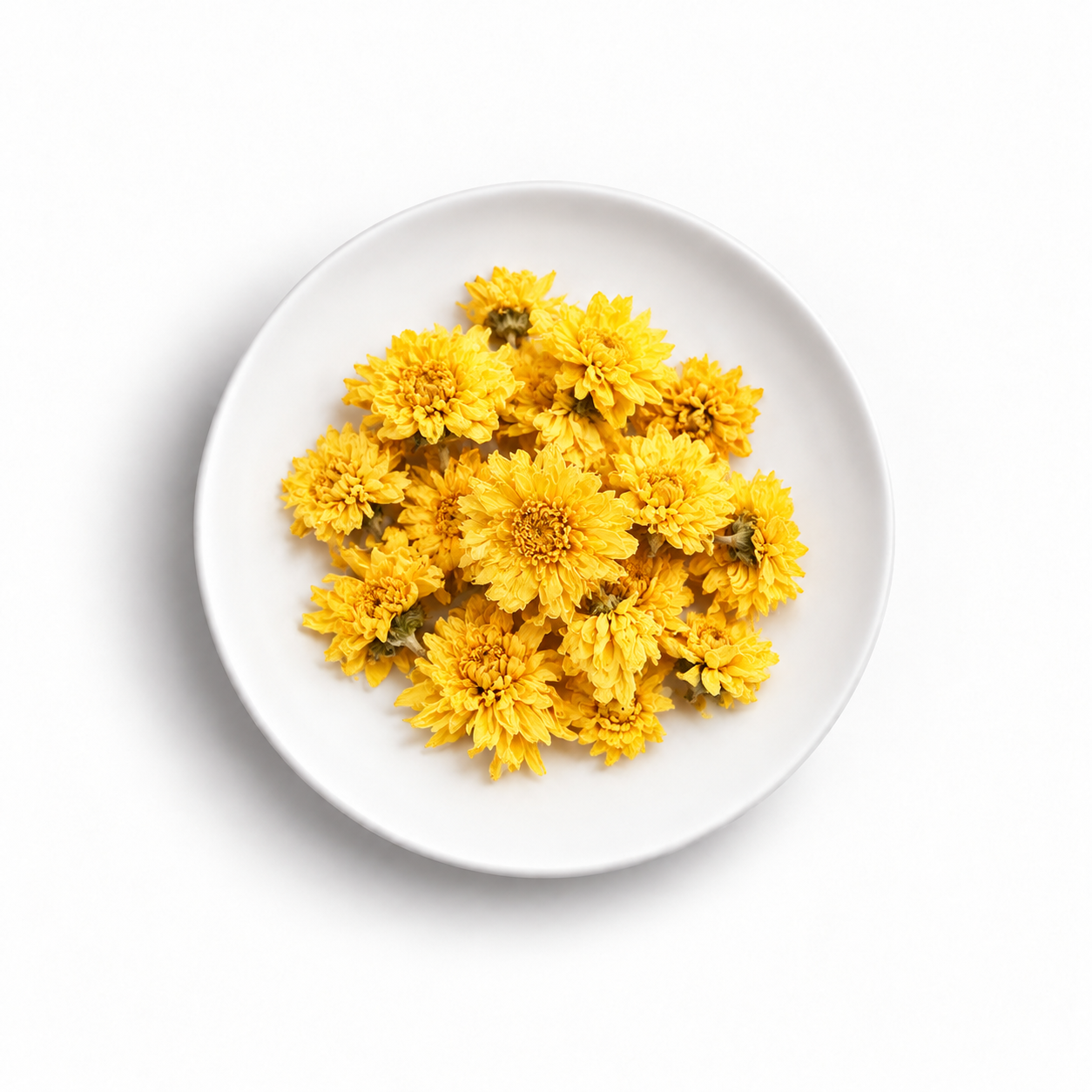 Chrysanthemum Flower Tea 500g – Delicate Floral Aroma, Honey-Like Notes & a Refreshing Finish